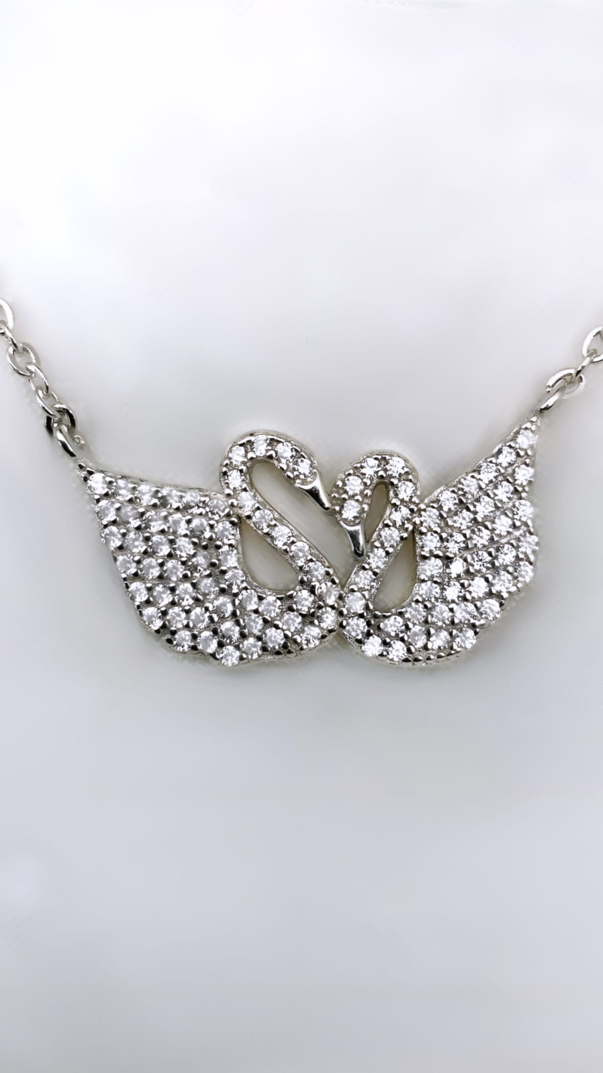 שרשרת ברבורים - שרשרת ברבור - ברבור מכסף - (2)