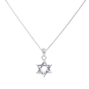 שרשרת מגן דוד דו מימדית