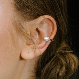 הליקס מכסף טיפה זרקן מרכזי